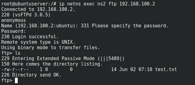 Anonymous login succeeding and listing test.txt