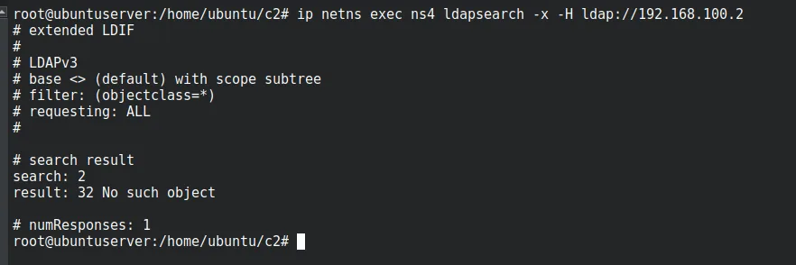 A test LDAP query from ns4 succeeding against the target