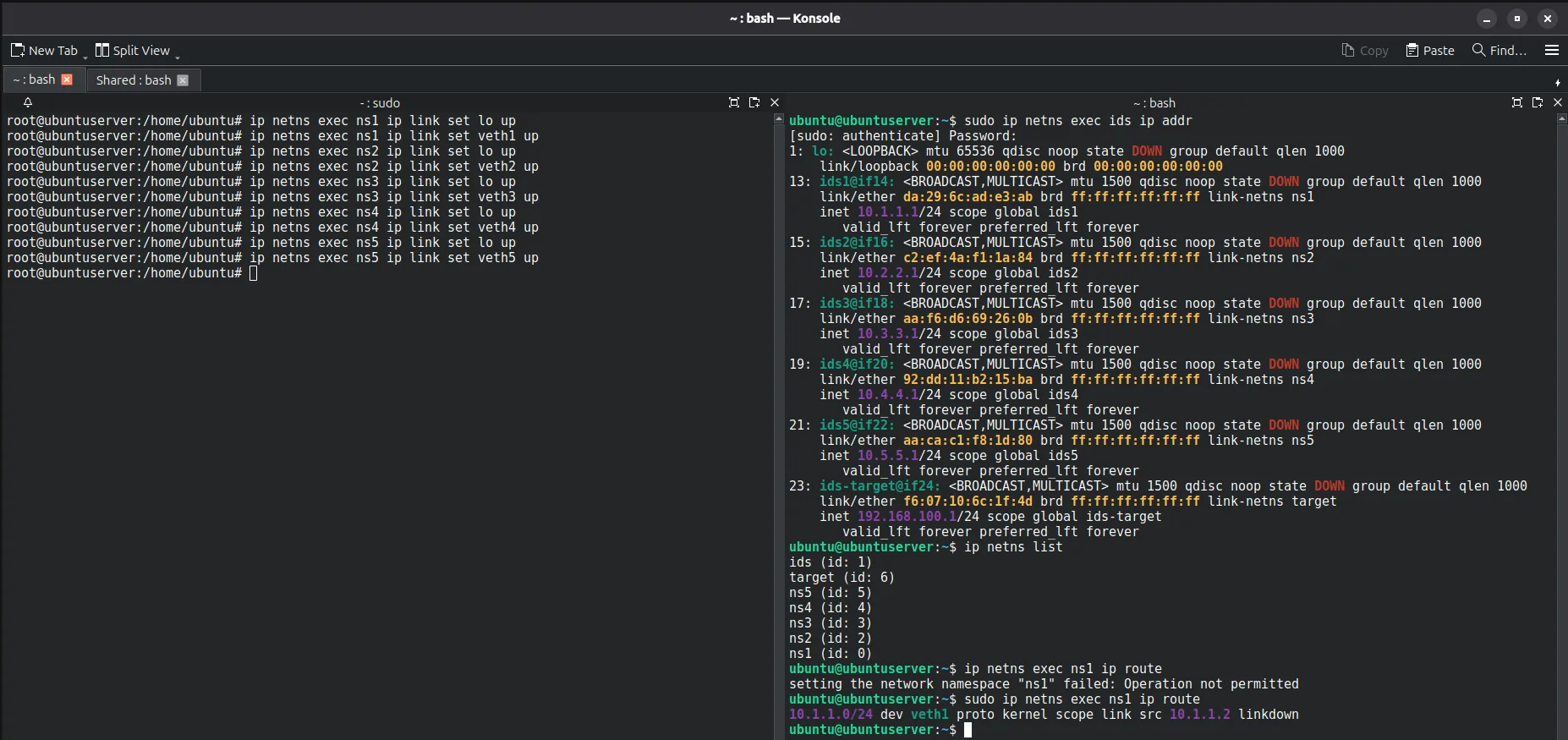Bringing up loopback and veth interfaces in the source namespaces; ids addr output still DOWN