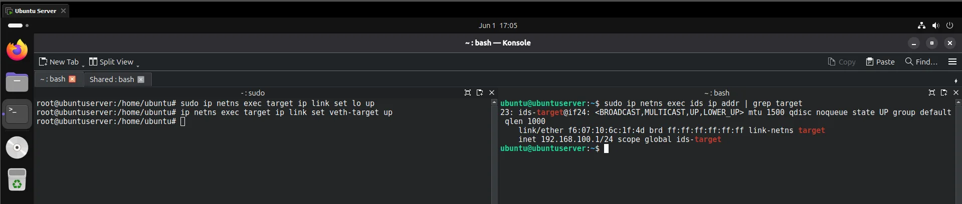 Target interface up with 192.168.100.2 and ids-target peer confirmed