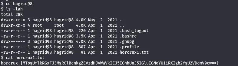 horcrux1 file containing the first flag