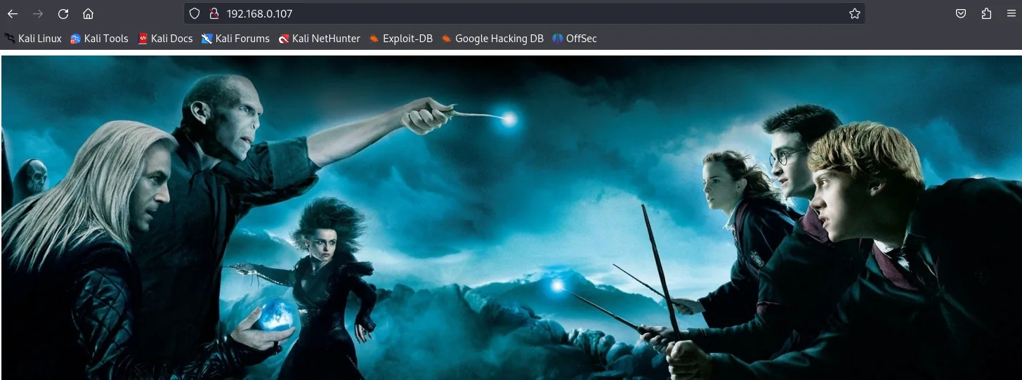 The web page showing only an image