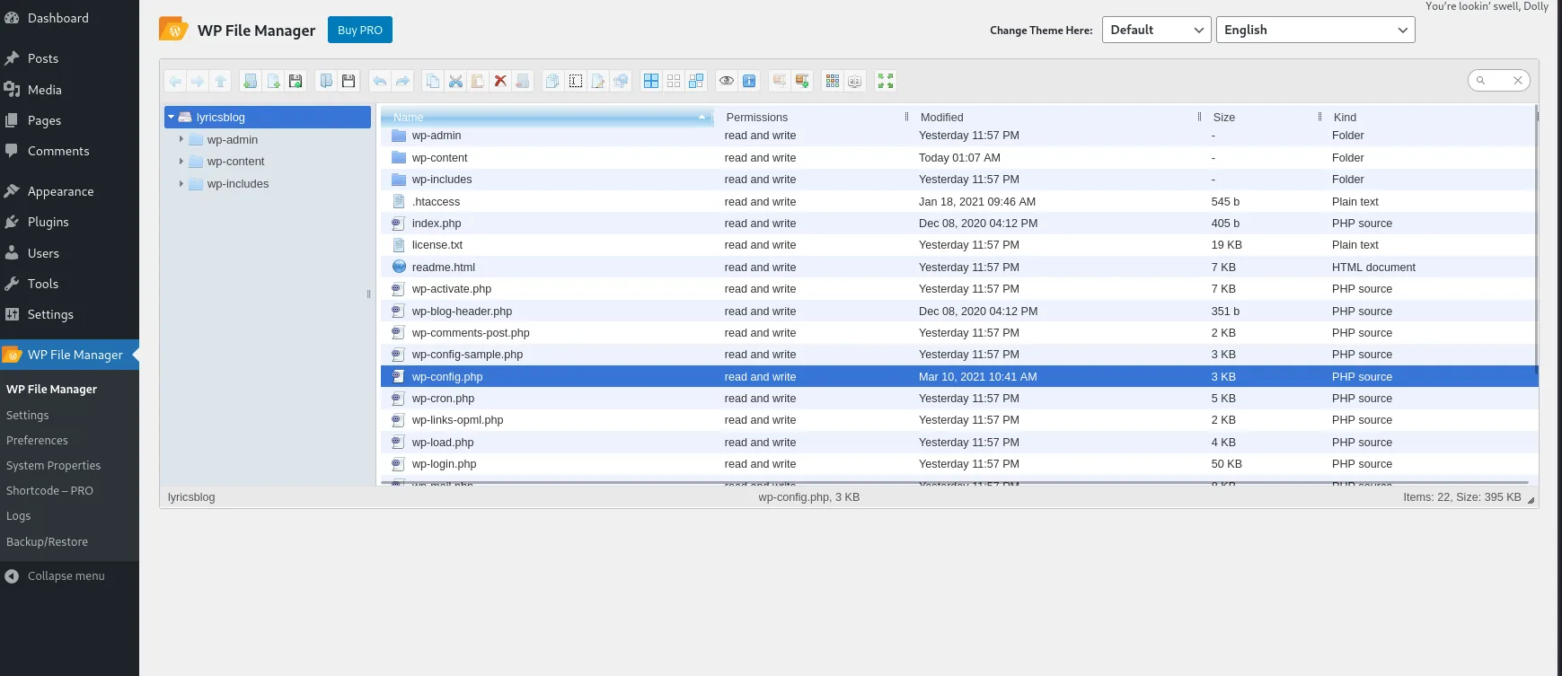 Installing a file manager plugin in WordPress