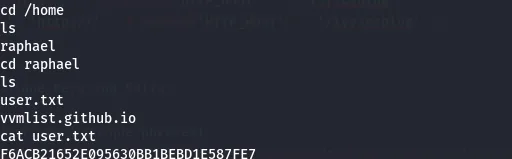 Switching to raphael and reading user.txt