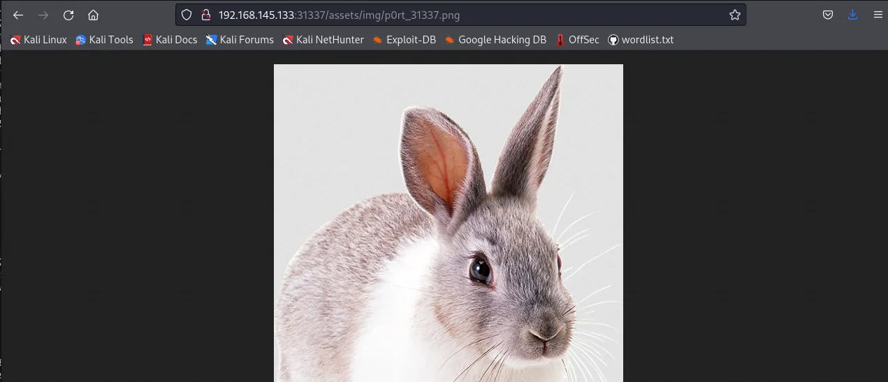 White rabbit image named after port 31337