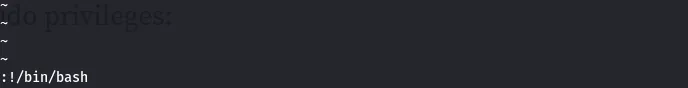 Escaping the restricted shell via vi :!/bin/bash