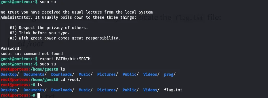 sudo giving root and flag.txt in /root