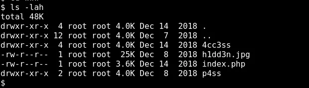 Listing files including a p4ss folder