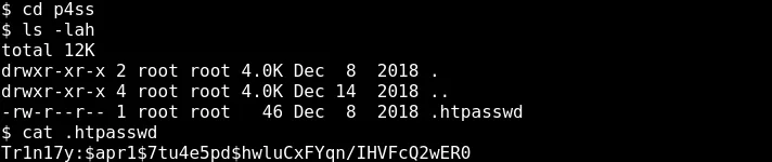 A .htpasswd file holding a password hash