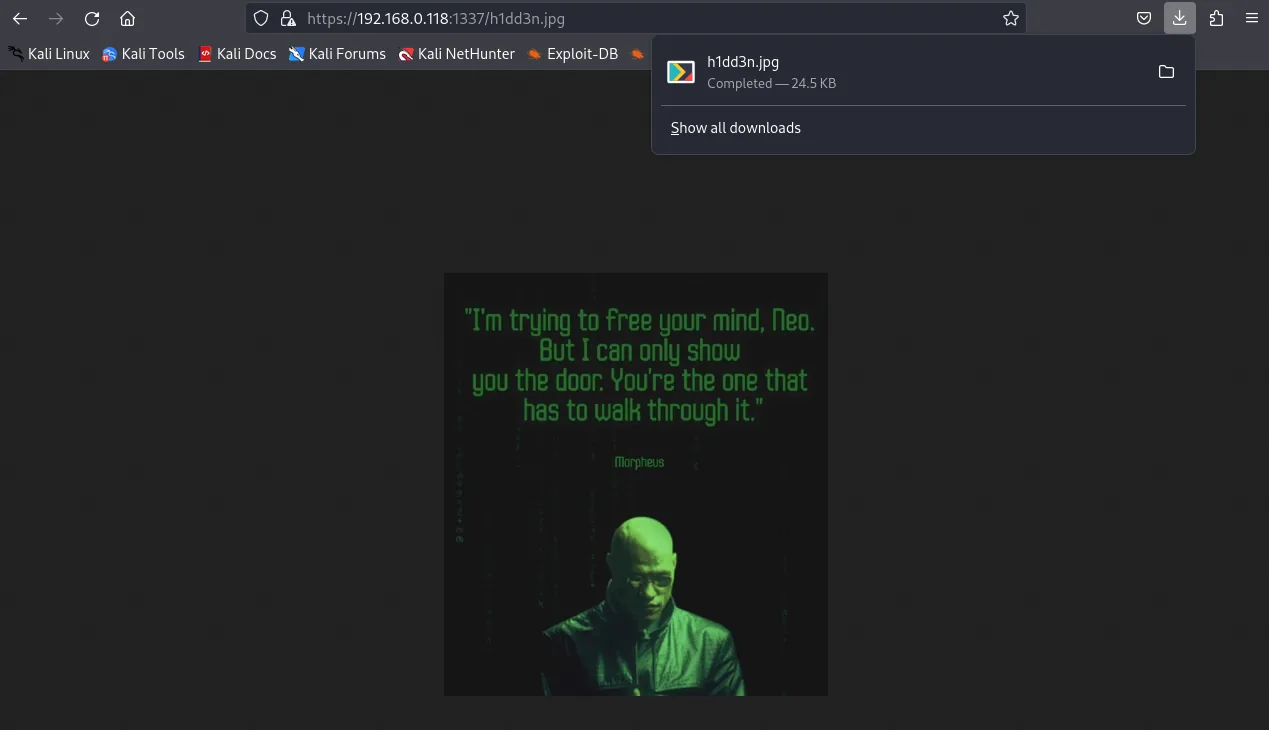 hidden.jpg and the highlighted n30 hint