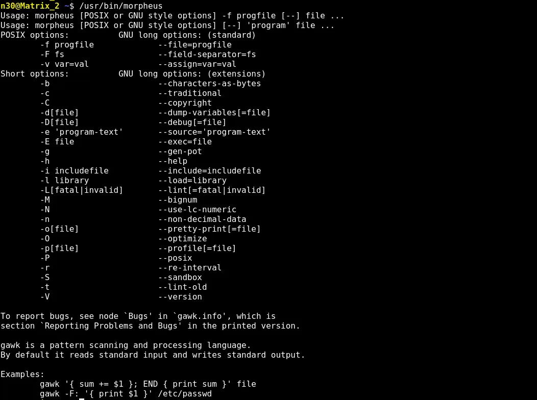 gawk spawning a root shell via Morpheus