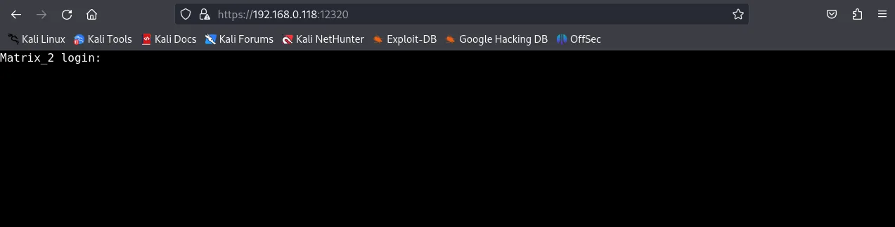Port 1337 basic-auth prompt