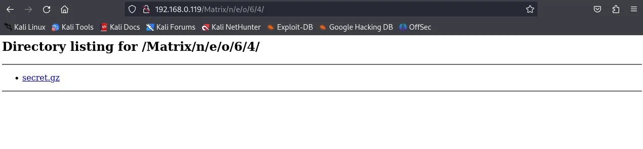 Downloading the secret file