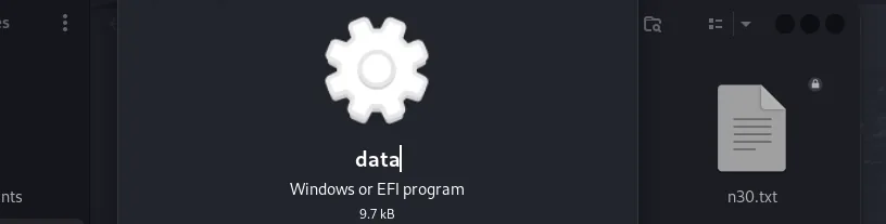 Opening the binary in Ghidra