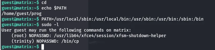 sudo -l showing passwordless /bin/cp for guest