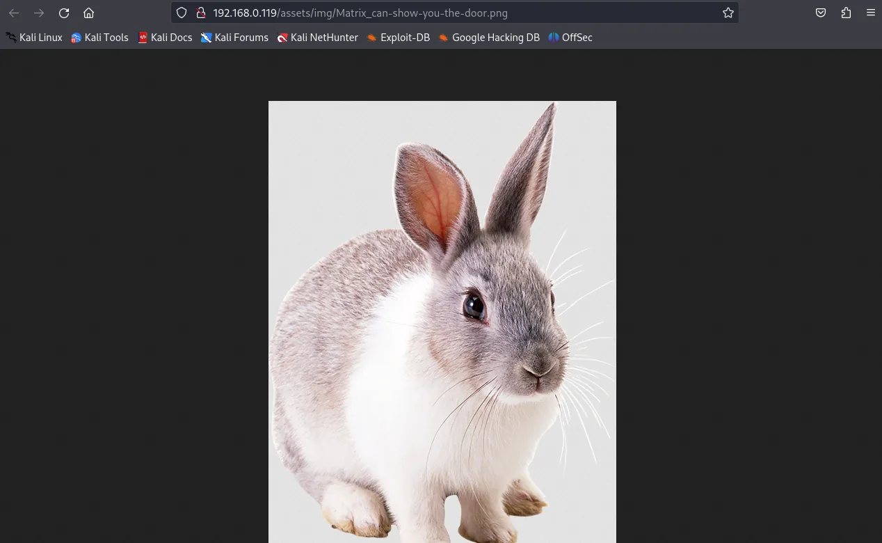 White rabbit image whose name hints at the next path