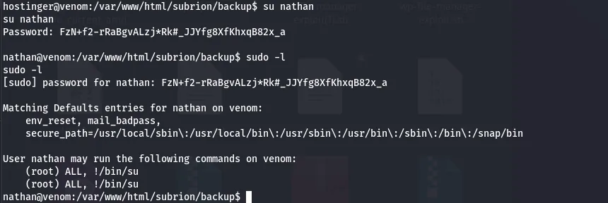 Backup file containing the user flag