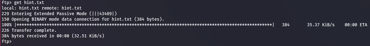 Downloading hit.txt from the FTP server